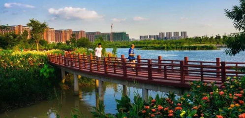 東莞某特色精品村建設規劃之swot分析 建科園林景觀設計