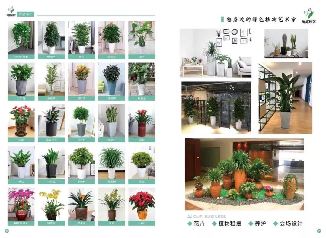 深圳花卉租擺|綠植租擺|花木租擺|綠化養護|園林景觀工程.