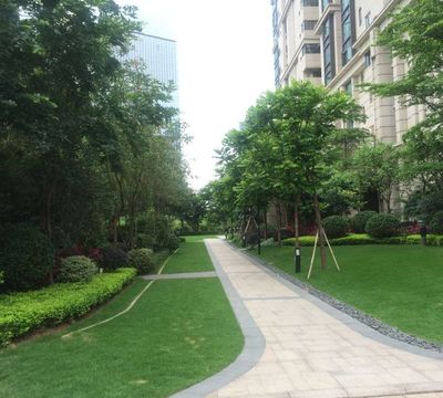 專業綠化養護工廠修剪植物種植改造 園林綠化設計施工一條龍服務